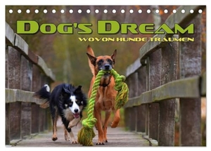 Bleicher, Renate. DOG'S DREAM - wovon Hunde träumen (Tischkalender 2024 DIN A5 quer), CALVENDO Monatskalender - Amüsante Visualisierung von Hundeträumen. Calvendo Verlag, 2023.