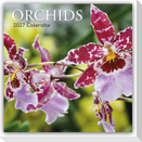 Orchids - Orchideen 2027 - 16-Monatskalender