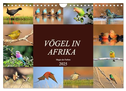 Vögel in Afrika - Magie der Farben (Wandkalender 2025 DIN A4 quer), CALVENDO Monatskalender