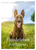Hundeleben Schäferhund (Tischkalender 2024 DIN A5 hoch), CALVENDO Monatskalender