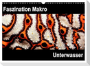Faszination Makro Unterwasser (Wandkalender 2025 DIN A3 quer), CALVENDO Monatskalender
