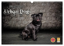 Urban Dogs - Hundekalender der anderen Art (Wandkalender 2025 DIN A3 quer), CALVENDO Monatskalender