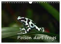 Poison dart frogs / UK-Version / Birthday Calendar (Wall Calendar 2024 DIN A4 landscape), CALVENDO 12 Month Wall Calendar