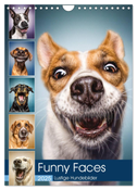 Funny Faces - Lustige Hundebilder (Wandkalender 2025 DIN A4 hoch), CALVENDO Monatskalender