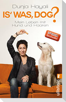 Is was, Dog?