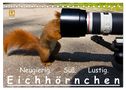 Eichhörnchen (Tischkalender 2025 DIN A5 quer), CALVENDO Monatskalender