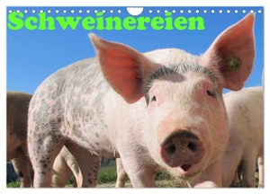 Wolf, Jan. Schweinereien (Wandkalender 2024 DIN A4 quer), CALVENDO Monatskalender - Ein schöner Kalender für alle die Schweine und Schweinereien lieben. Calvendo Verlag, 2023.