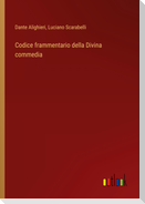 Codice frammentario della Divina commedia