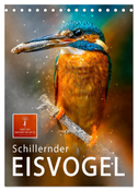 Schillernder Eisvogel (Tischkalender 2025 DIN A5 hoch), CALVENDO Monatskalender