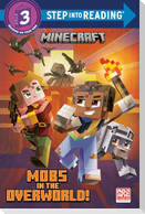 Mobs in the Overworld! (Minecraft)