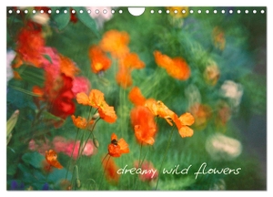 Clemens Stenner, ©.. Dreamy Wild Flowers (Wall Calendar 2024 DIN A4 landscape), CALVENDO 12 Month Wall Calendar - Wild flowers creatively photographed. Calvendo, 2023.