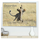 Geparden - Afrikas grazile Katzen (hochwertiger Premium Wandkalender 2024 DIN A2 quer), Kunstdruck in Hochglanz