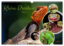Kleine Drachen - Echsen (Wandkalender 2025 DIN A3 quer), CALVENDO Monatskalender