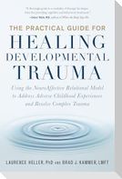 The Practical Guide for Healing Developmental Trauma
