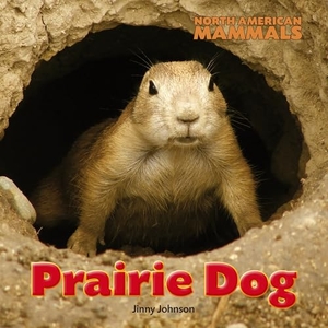 Johnson, Jinny. Prairie Dog. Brown Bear Books, 2014.