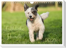 Fröhliche Hunde (Wandkalender 2025 DIN A4 quer), CALVENDO Monatskalender