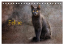 Feline (Tischkalender 2024 DIN A5 quer), CALVENDO Monatskalender