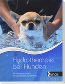 Hydrotherapie bei Hunden
