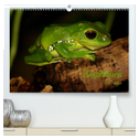 Amphibien (hochwertiger Premium Wandkalender 2024 DIN A2 quer), Kunstdruck in Hochglanz