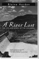 A River Lost
