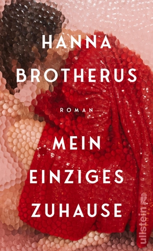 Brotherus, Hanna. Mein einziges Zuhause - Roman | Der große Bestseller aus Finnland endlich auf Deutsch. Ullstein Verlag GmbH, 2024.