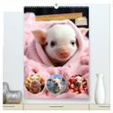 Glücksschweinchen (hochwertiger Premium Wandkalender 2025 DIN A2 hoch), Kunstdruck in Hochglanz