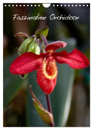 Rix, Veronika. Faszination Orchideen (Wandkalender 2024 DIN A4 hoch), CALVENDO Monatskalender - Der Kalender für den Orchideen-Liebhaber. Calvendo, 2023.