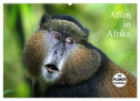 Affen in Afrika (Wandkalender 2024 DIN A2 quer), CALVENDO Monatskalender