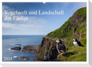 Vogelwelt und Landschaft der Färöer (Wandkalender 2024 DIN A2 quer), CALVENDO Monatskalender