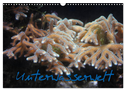 Unterwasserwelt (Wandkalender 2024 DIN A3 quer), CALVENDO Monatskalender