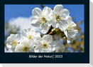 Bilder der Natur 2023 Fotokalender DIN A4