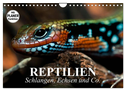Reptilien. Schlangen, Echsen und Co. (Wandkalender 2024 DIN A4 quer), CALVENDO Monatskalender