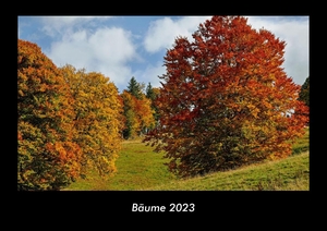 Tobias Becker. Bäume 2023 Fotokalender DIN A3 - Monatskalender mit Bild-Motiven aus Orten und Städten, Ländern und Kontinenten. Vero Kalender, 2022.