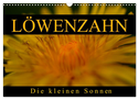 Löwenzahn - Die kleinen Sonnen (Wandkalender 2025 DIN A3 quer), CALVENDO Monatskalender