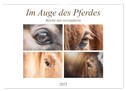 Im Auge des Pferdes (Wandkalender 2025 DIN A3 quer), CALVENDO Monatskalender