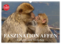 Faszination Affen. Kobolde zum Verlieben (Wandkalender 2024 DIN A3 quer), CALVENDO Monatskalender