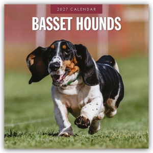 Red, Robin. Basset Hounds - Basset Hound 2027 - 16-Monatskalender - Original Red Robin Publishing Ltd-Kalender [Mehrsprachig] [Kalender]. Browntrout Verlags GmbH, 2026.