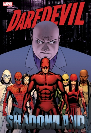 Diggle, Andy / Johnston, Antony et al. Daredevil: Shadowland Omnibus Cassaday Cover (New Printing). Marvel Comics, 2024.