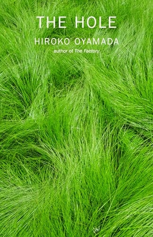 Oyamada, Hiroko. The Hole. New Directions Publishing Corporation, 2020.