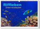 Riffleben - Einfach mal abtauchen (Wandkalender 2024 DIN A3 quer), CALVENDO Monatskalender