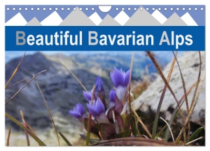 Spaeth, Hannelore. Beautiful Bavarian Alps (Wall Calendar 2024 DIN A4 landscape), CALVENDO 12 Month Wall Calendar - Beautiful images of the German Alps. Calvendo, 2023.