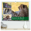 Katzen im Busch (hochwertiger Premium Wandkalender 2025 DIN A2 quer), Kunstdruck in Hochglanz