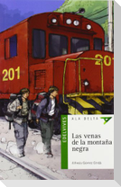 Las venas de la montaña negra