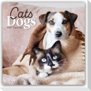 Cats and Dogs - Katzen und Hunde 2027 - 16-Monatskalender