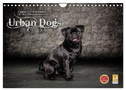 Urban Dogs - Hundekalender der anderen Art (Wandkalender 2025 DIN A4 quer), CALVENDO Monatskalender