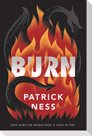 Burn