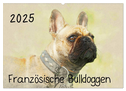 Französische Bulldoggen 2025 (Wandkalender 2025 DIN A2 quer), CALVENDO Monatskalender