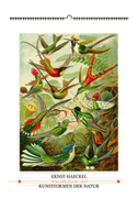 Ernst Haeckel. Kunstformen der Natur. Wandkalender 2027