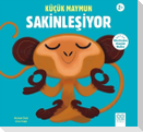 Kücük Maymun Sakinlesiyor