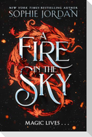 A Fire in the Sky
